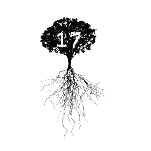 Roots Of Seventeen